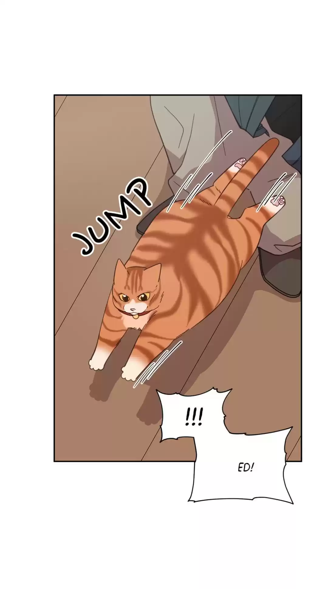 An Animal Hospital In The Border Area Chapter 8