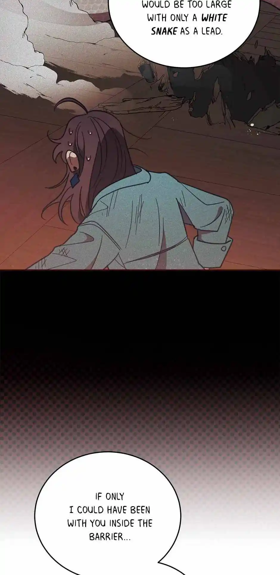 An Animal Hospital in The Border Area Chapter 82