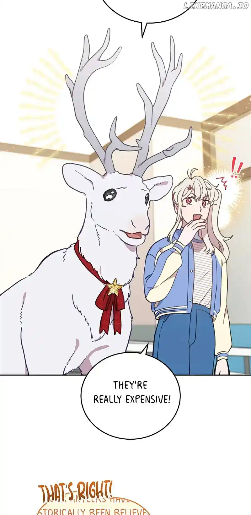 An Animal Hospital in The Border Area Chapter 91