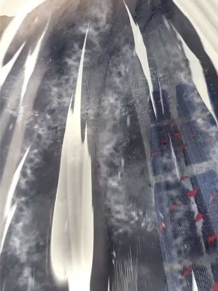 Another beginning with the Guhuo bird Ch.061