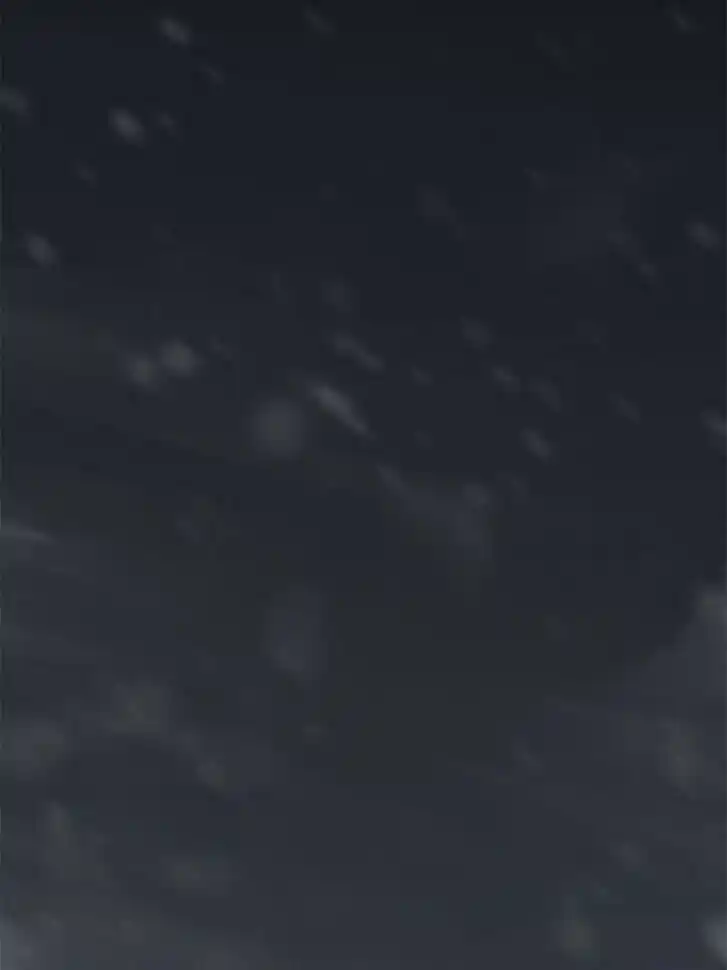 Another beginning with the Guhuo bird Ch.074