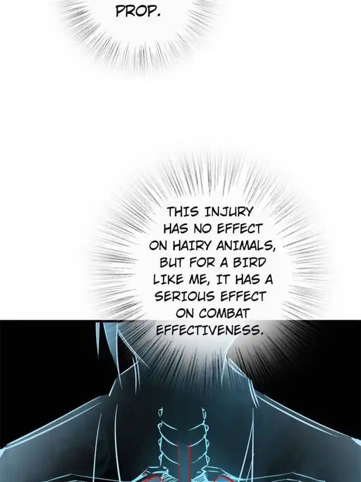 Another beginning with the Guhuo bird Ch.104