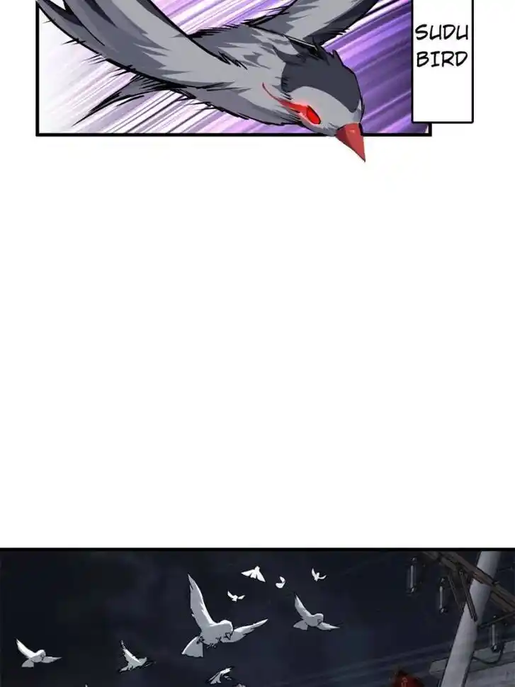 Another beginning with the Guhuo bird Ch.104