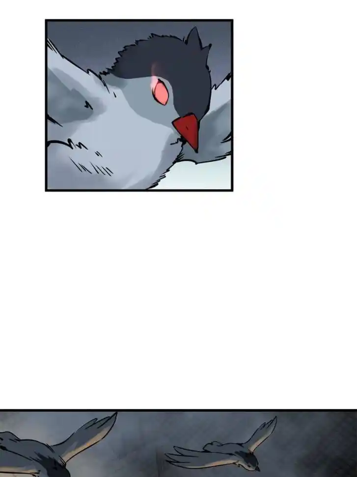 Another beginning with the Guhuo bird Ch.104