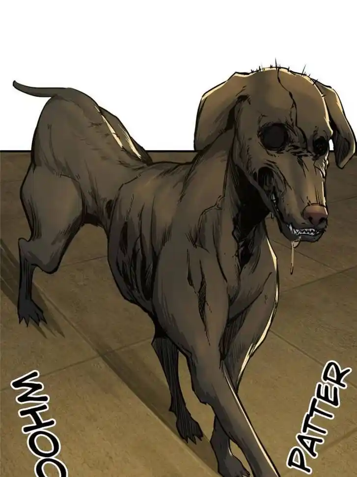 Another beginning with the Guhuo bird Ch.113