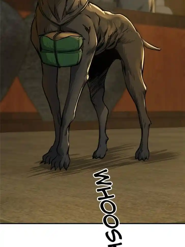 Another beginning with the Guhuo bird Ch.113