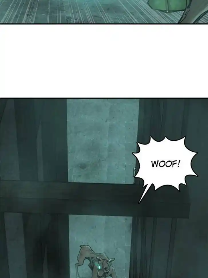 Another beginning with the Guhuo bird Ch.113