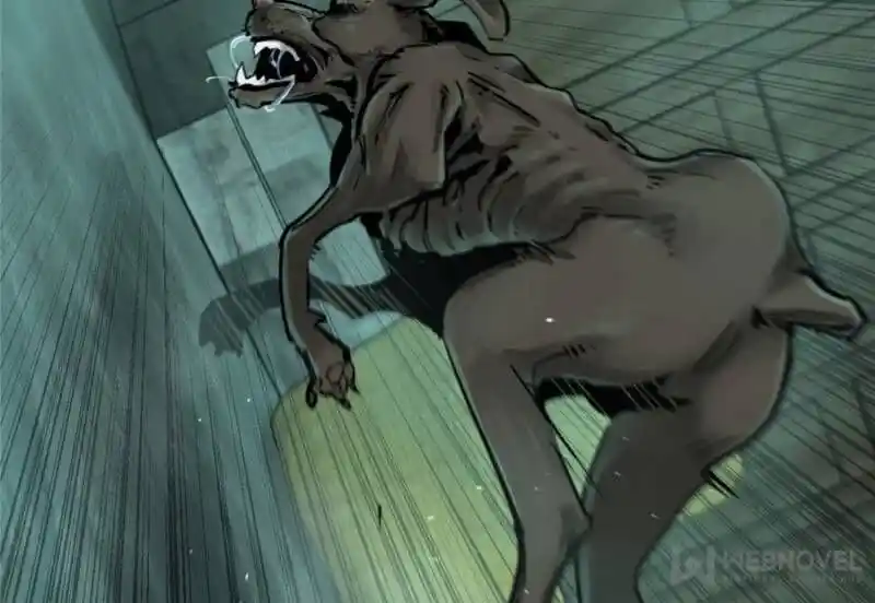 Another beginning with the Guhuo bird Ch.113