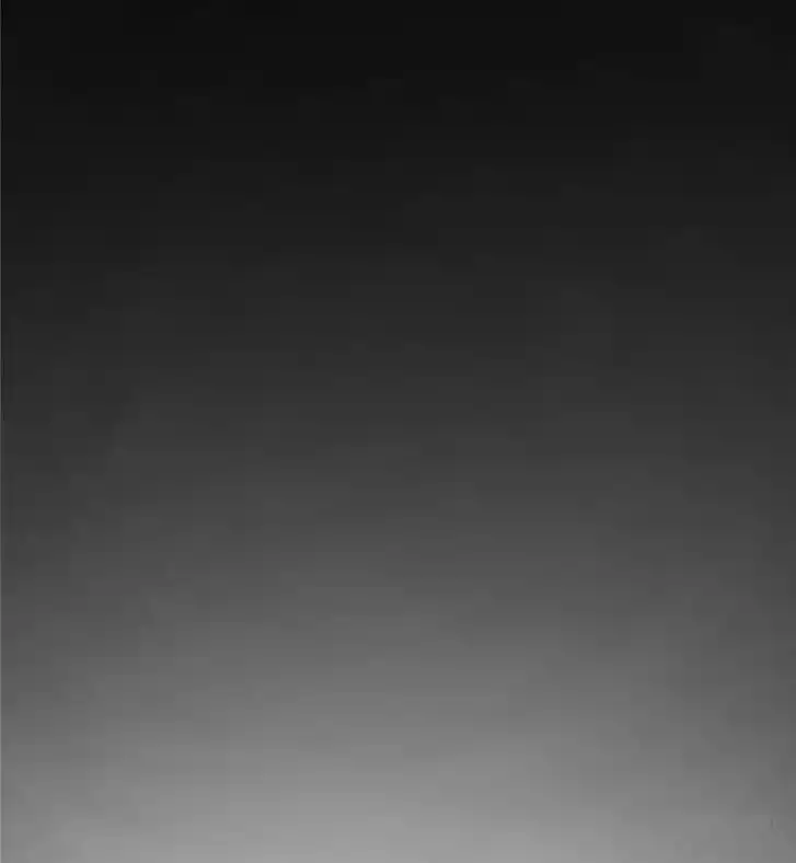 Another beginning with the Guhuo bird Ch.114