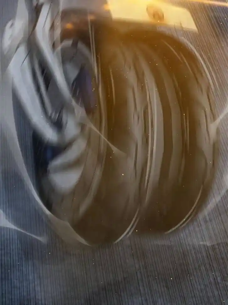 Another beginning with the Guhuo bird Ch.120