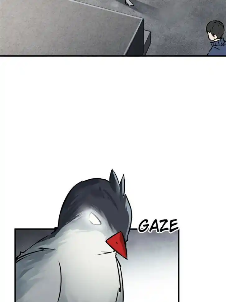 Another beginning with the Guhuo bird Ch.122