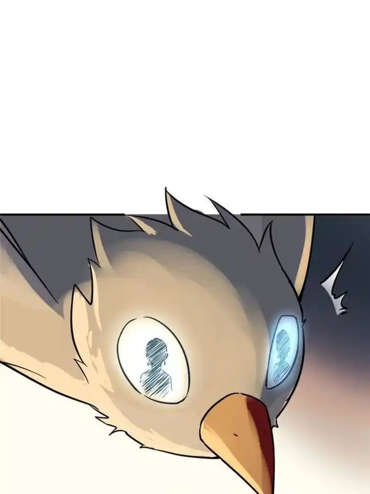 Another beginning with the Guhuo bird Ch.123