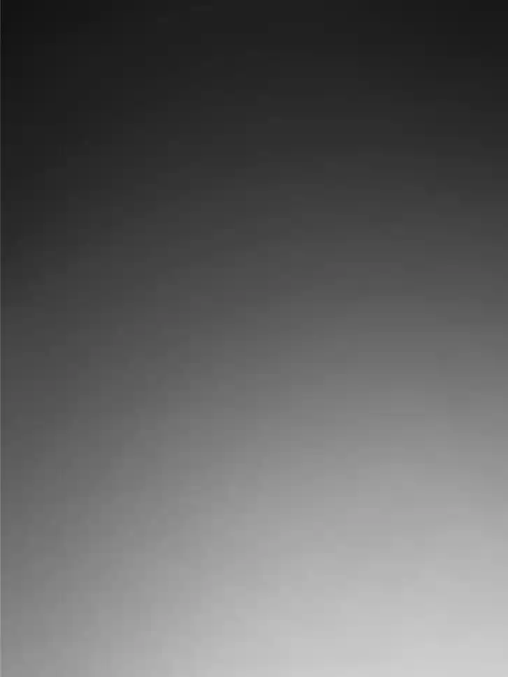 Another beginning with the Guhuo bird Ch.124