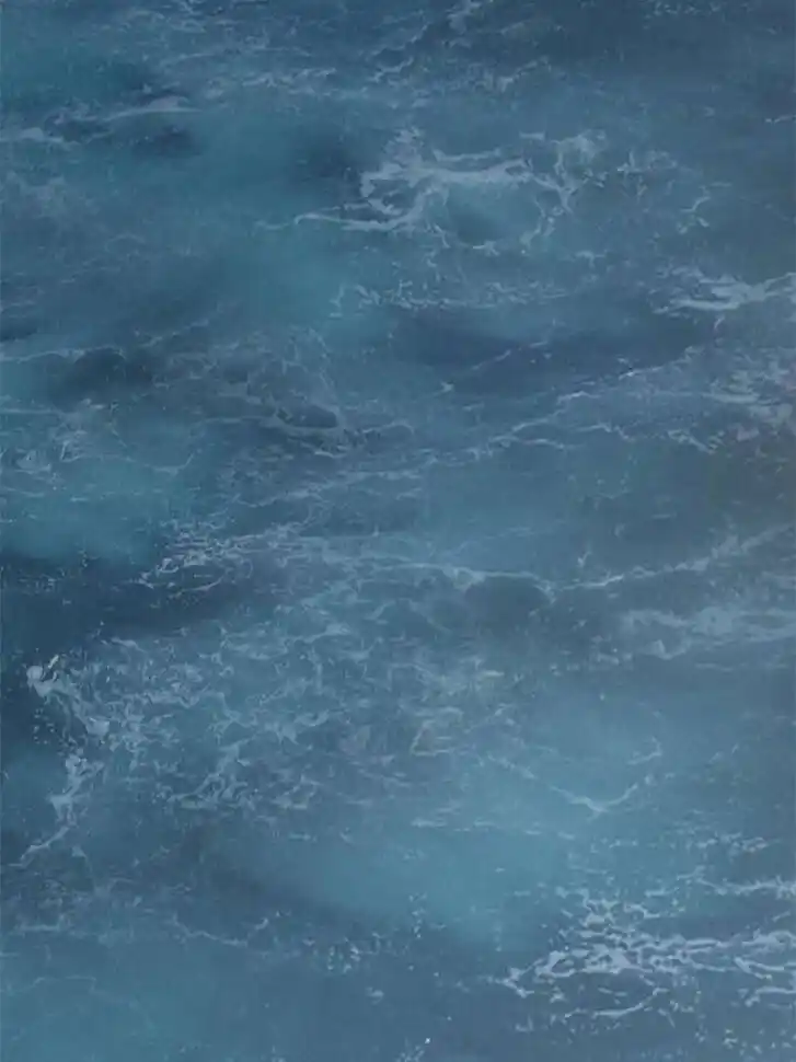 Another beginning with the Guhuo bird Ch.164