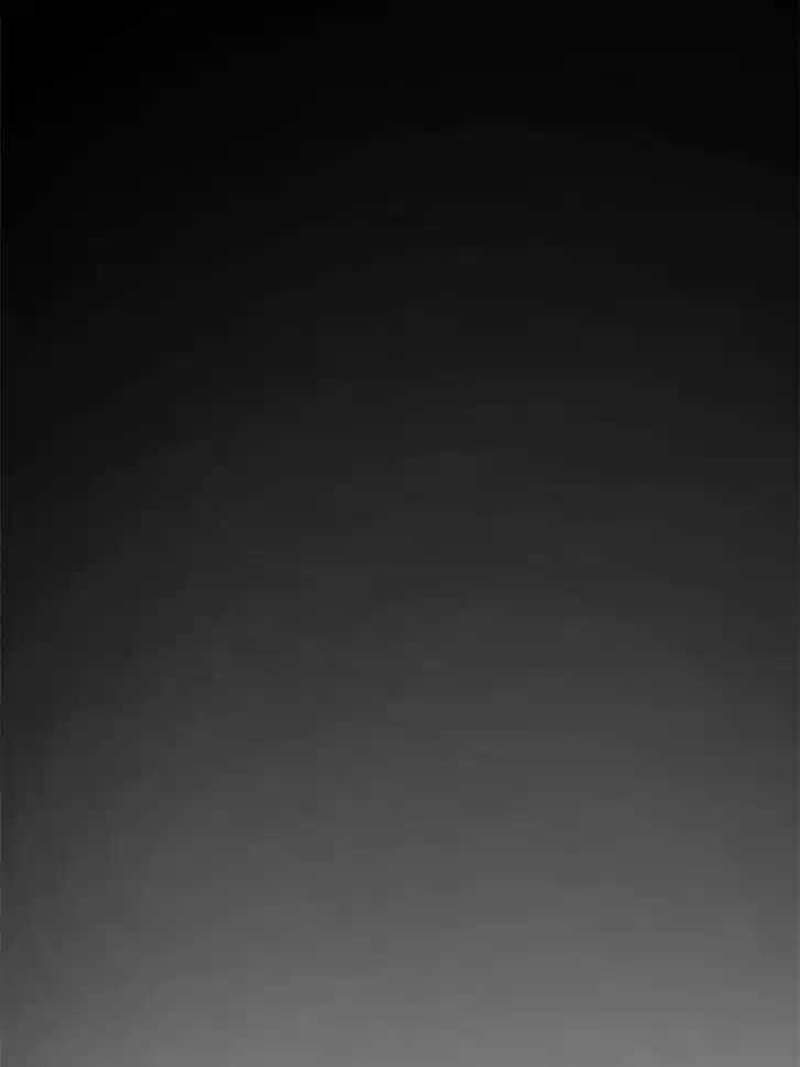 Another beginning with the Guhuo bird Ch.234