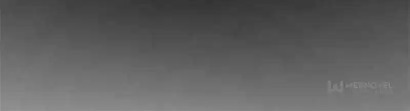 Another beginning with the Guhuo bird Ch.242