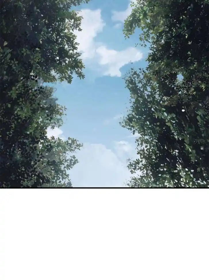 Another beginning with the Guhuo bird Ch.246