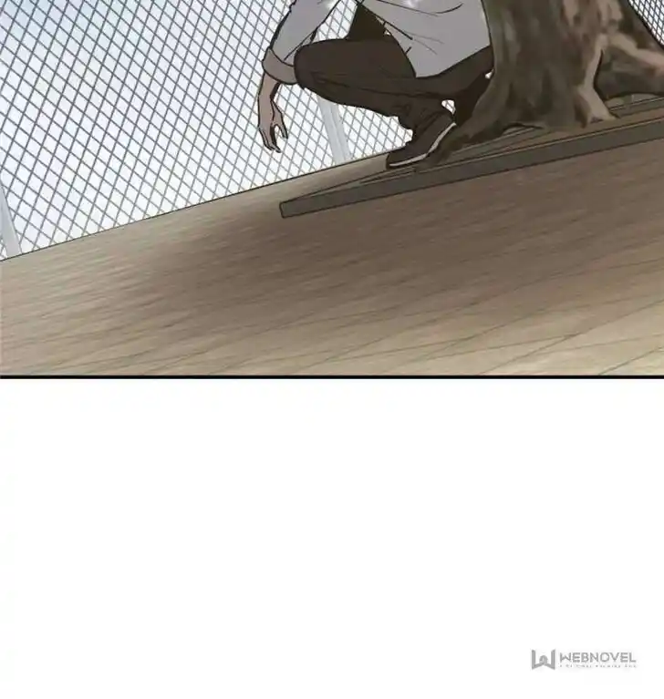 Another beginning with the Guhuo bird Ch.248