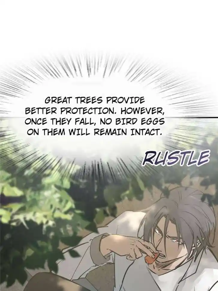 Another beginning with the Guhuo bird Ch.248