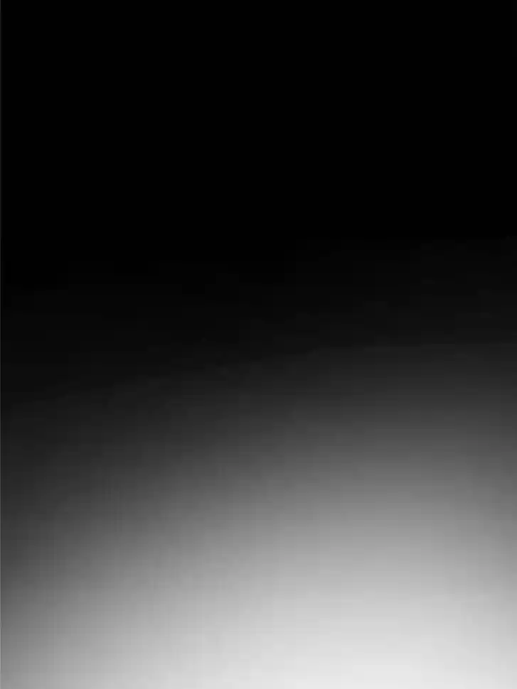 Another beginning with the Guhuo bird Ch.251