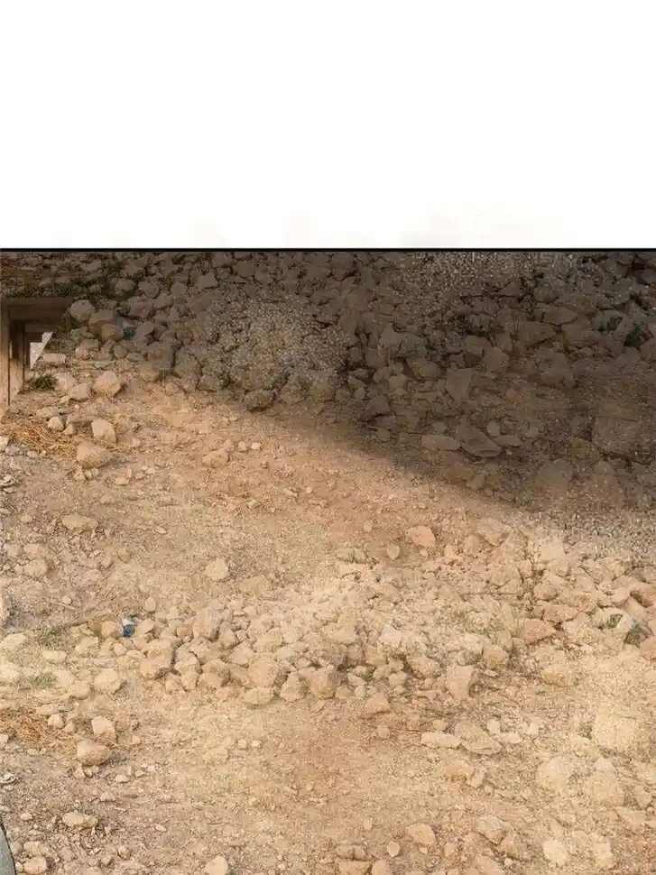 Another beginning with the Guhuo bird Ch.257