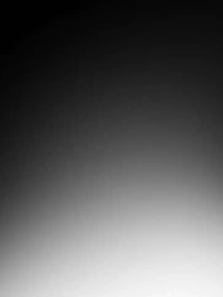 Another beginning with the Guhuo bird Ch.274