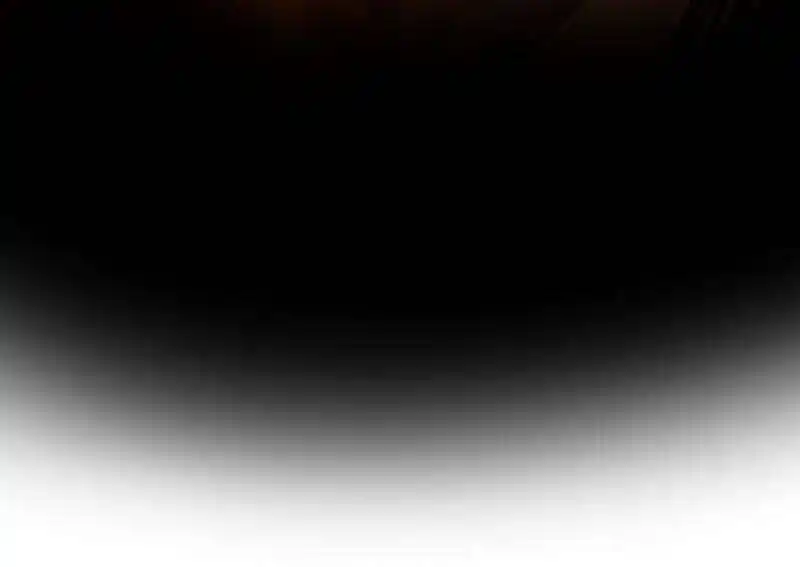 Another beginning with the Guhuo bird Ch.274