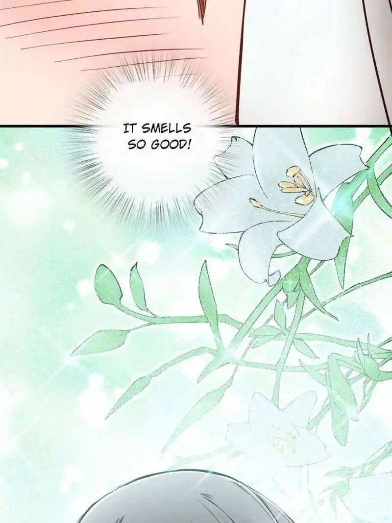 Another beginning with the Guhuo bird Chapter 202