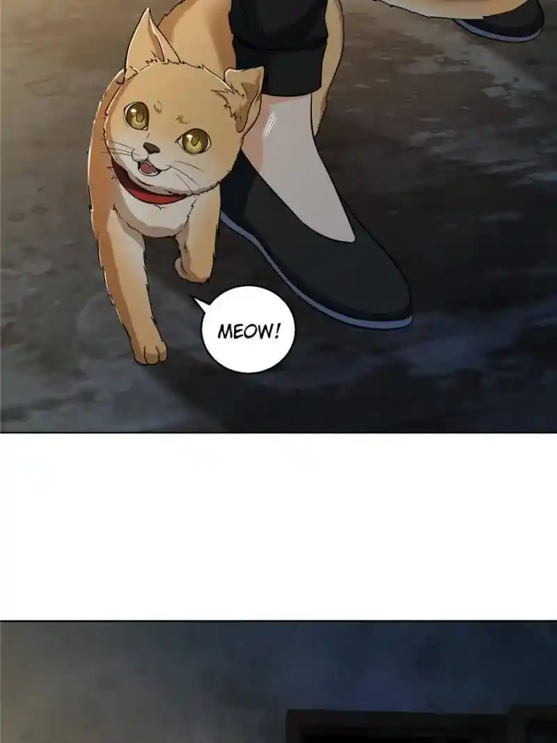 Another beginning with the Guhuo bird Chapter 21