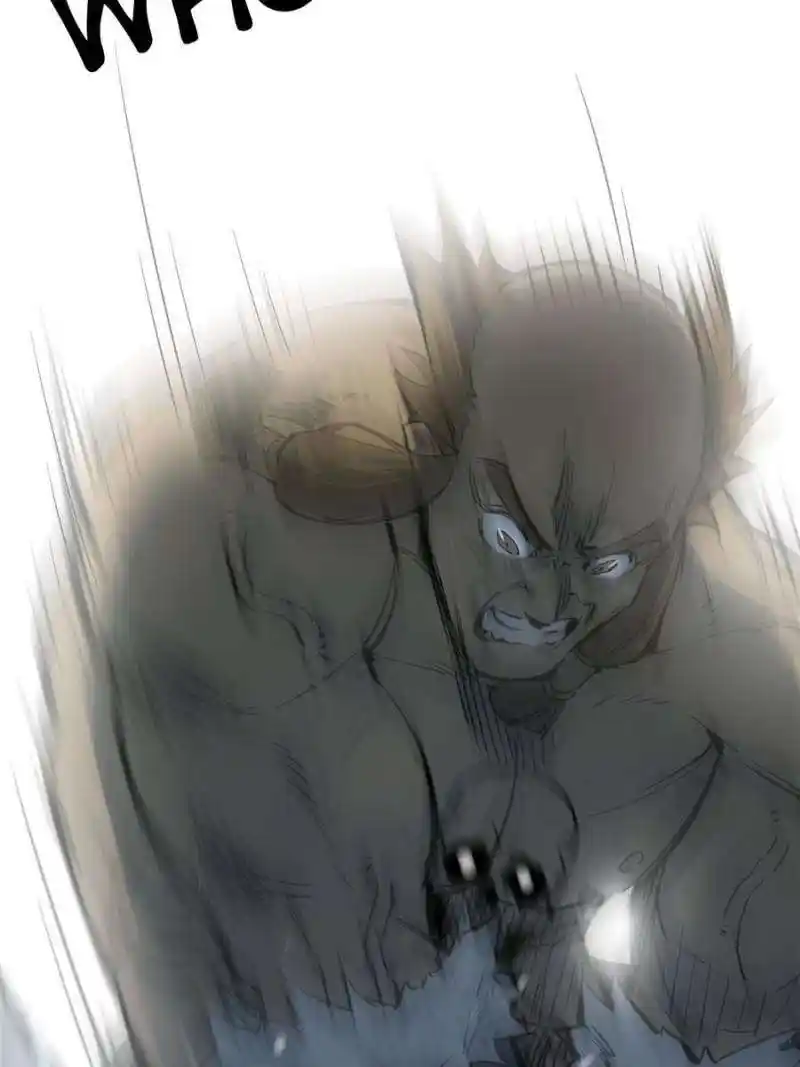 Another beginning with the Guhuo bird Chapter 214