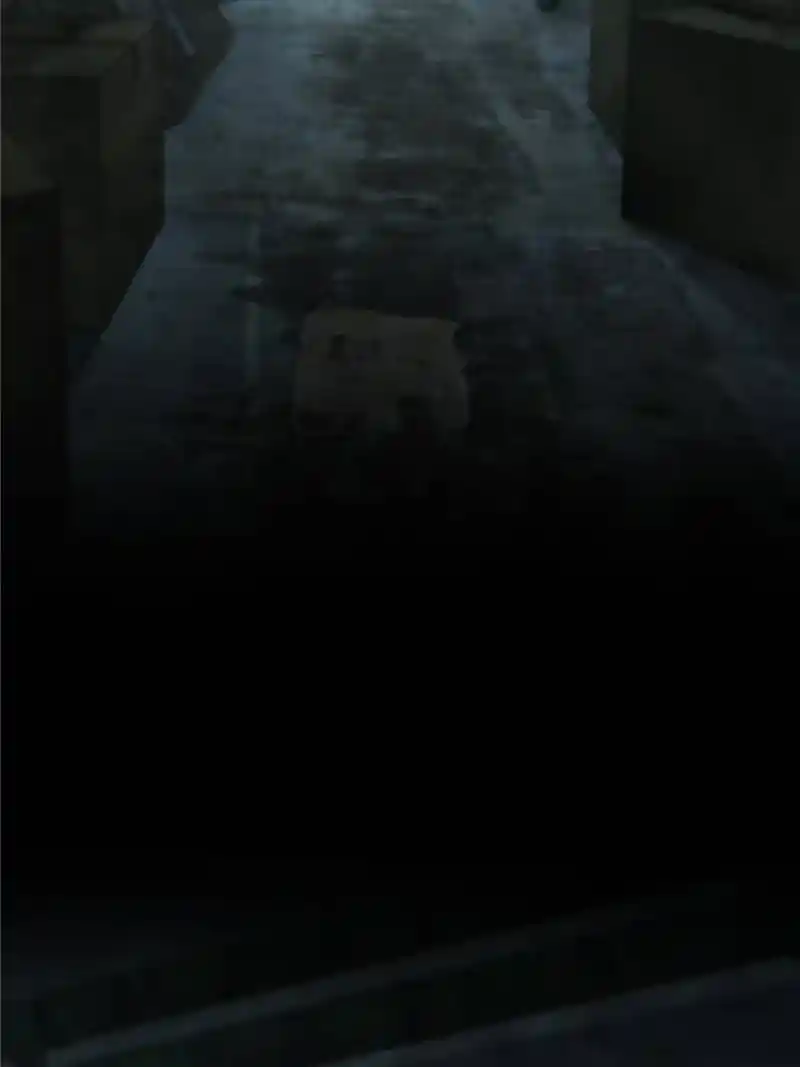 Another beginning with the Guhuo bird Chapter 23