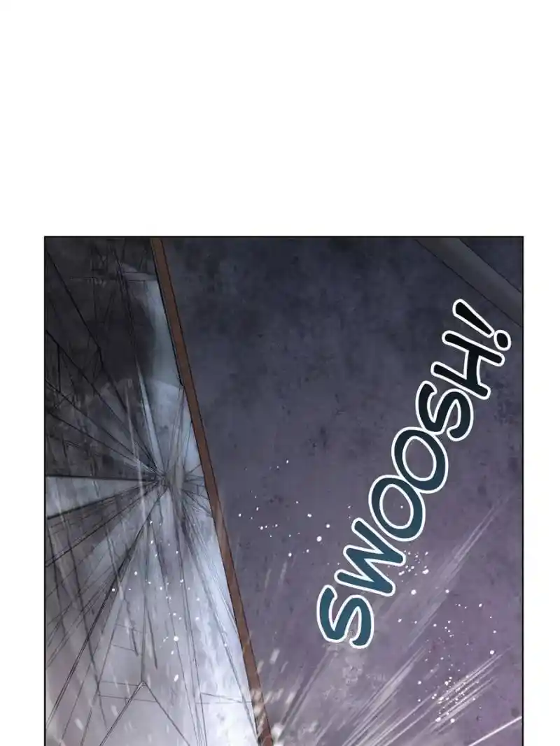 Another beginning with the Guhuo bird Chapter 28