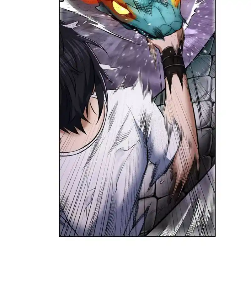 Another beginning with the Guhuo bird Chapter 28