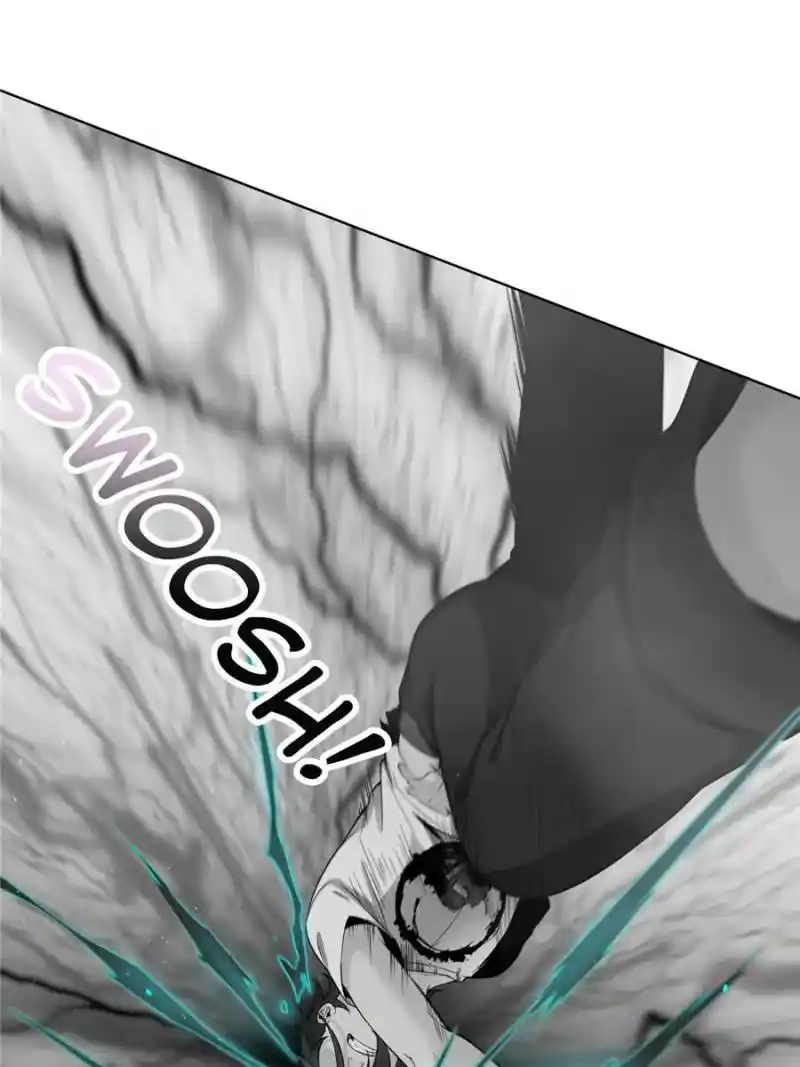 Another beginning with the Guhuo bird Chapter 29