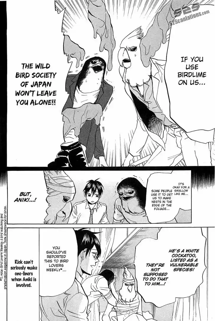 Arakawa Under the Bridge 268