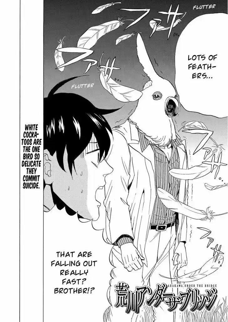 Arakawa Under the Bridge 376