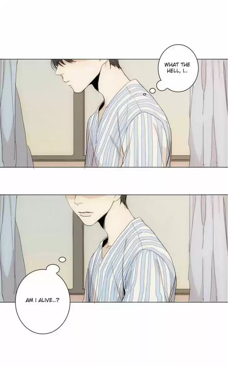 At the End of the Road 1