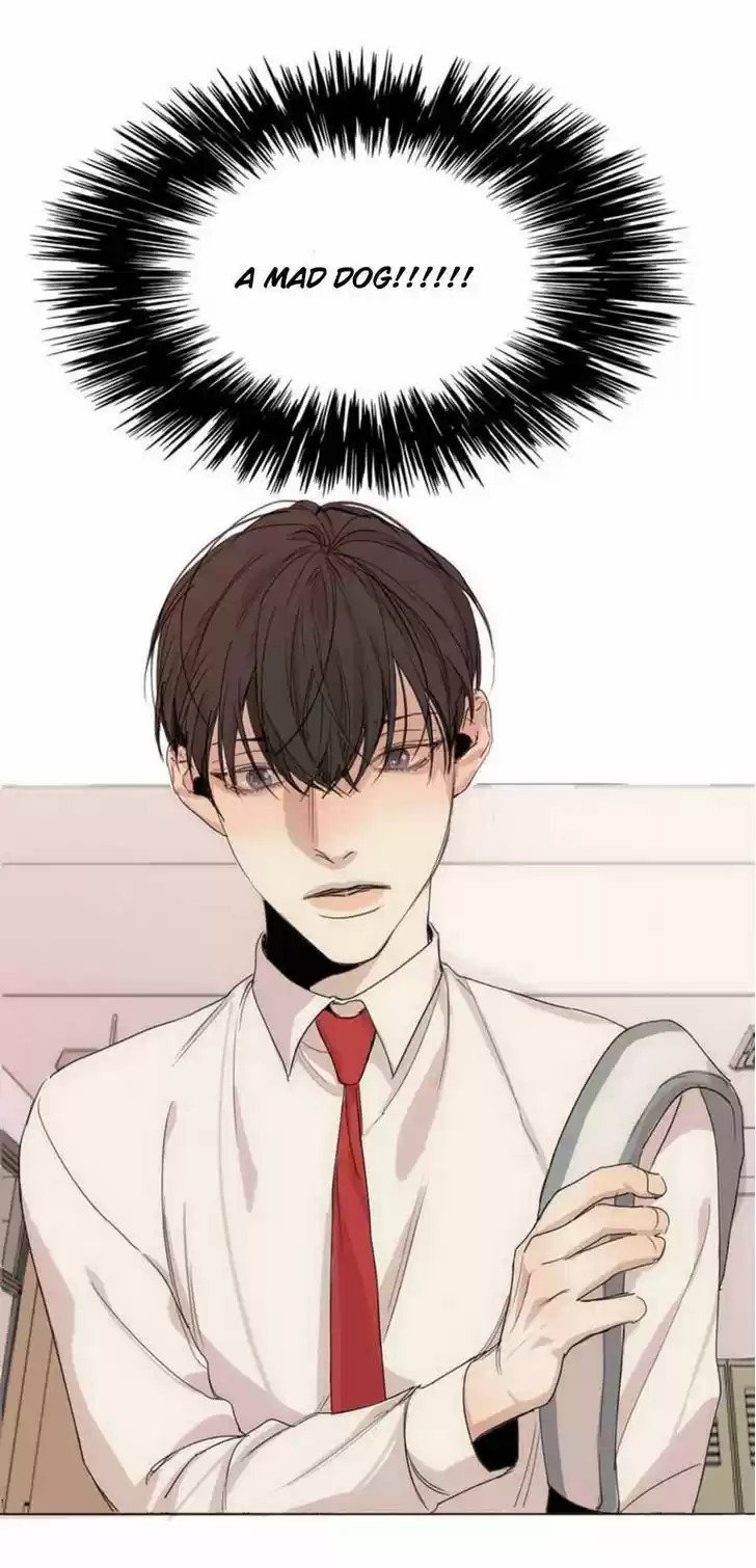 At the End of the Road 9