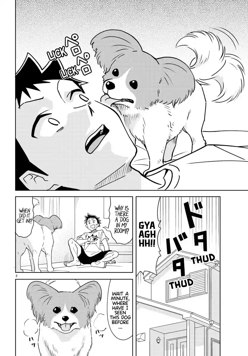 Atsumare! Fushigi Kenkyu-bu 325