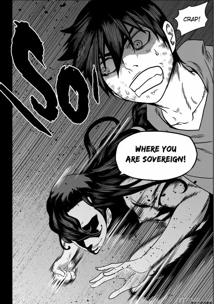 Autophagy Regulation 80