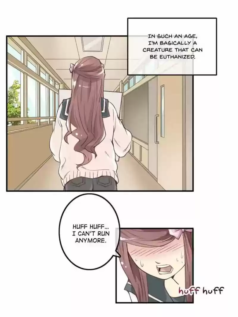 Back to the Tang Dynasty: The Chubby Beauty Chapter 1