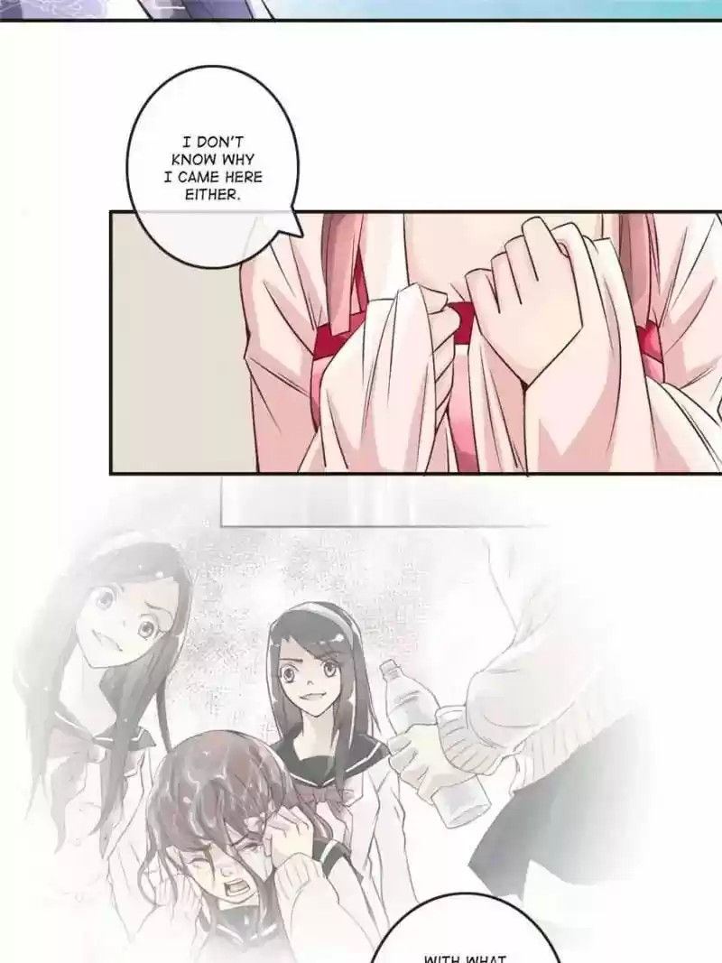 Back to the Tang Dynasty: The Chubby Beauty Chapter 12