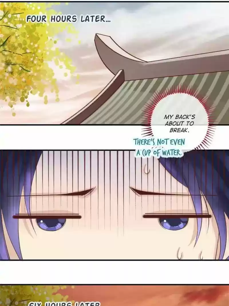 Back to the Tang Dynasty: The Chubby Beauty Chapter 13