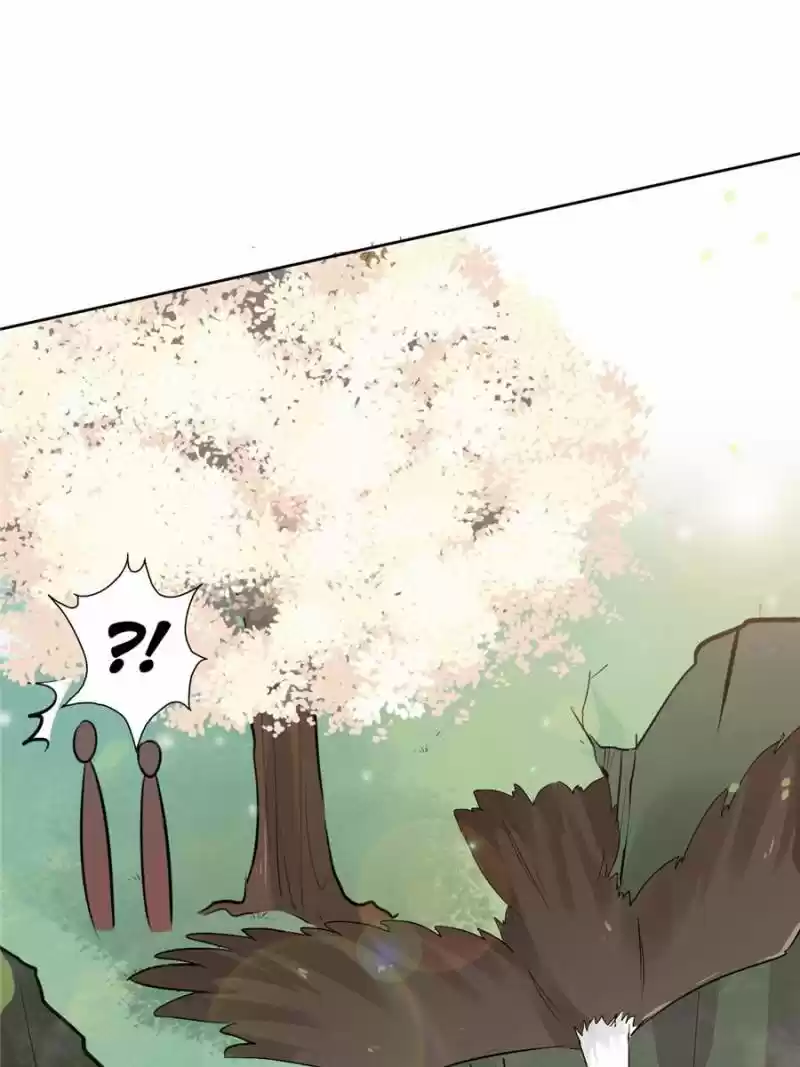 Back To The Tang Dynasty: The Chubby Beauty Chapter 136