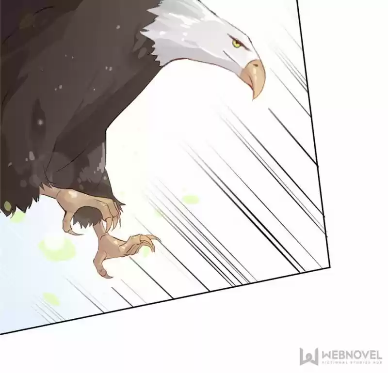 Back To The Tang Dynasty: The Chubby Beauty Chapter 136