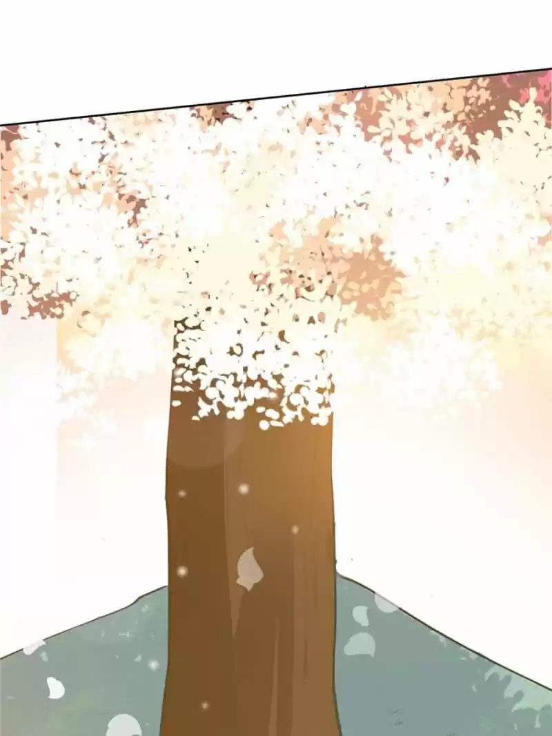 Back To The Tang Dynasty: The Chubby Beauty Chapter 137