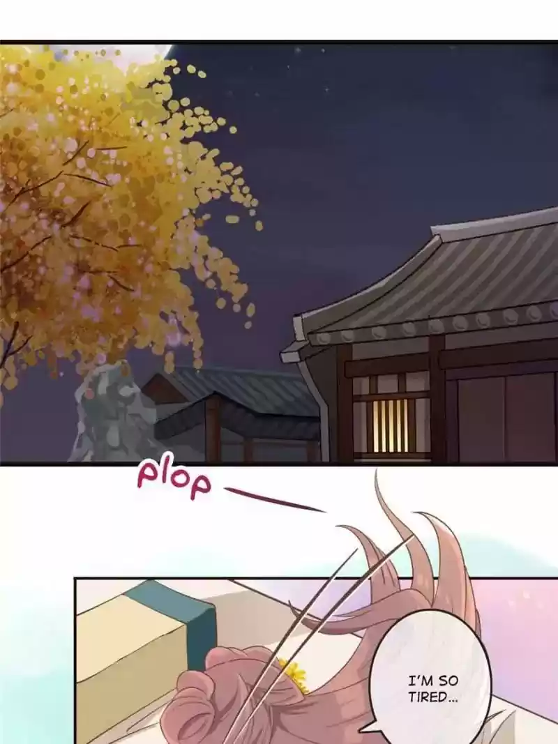 Back to the Tang Dynasty: The Chubby Beauty Chapter 16