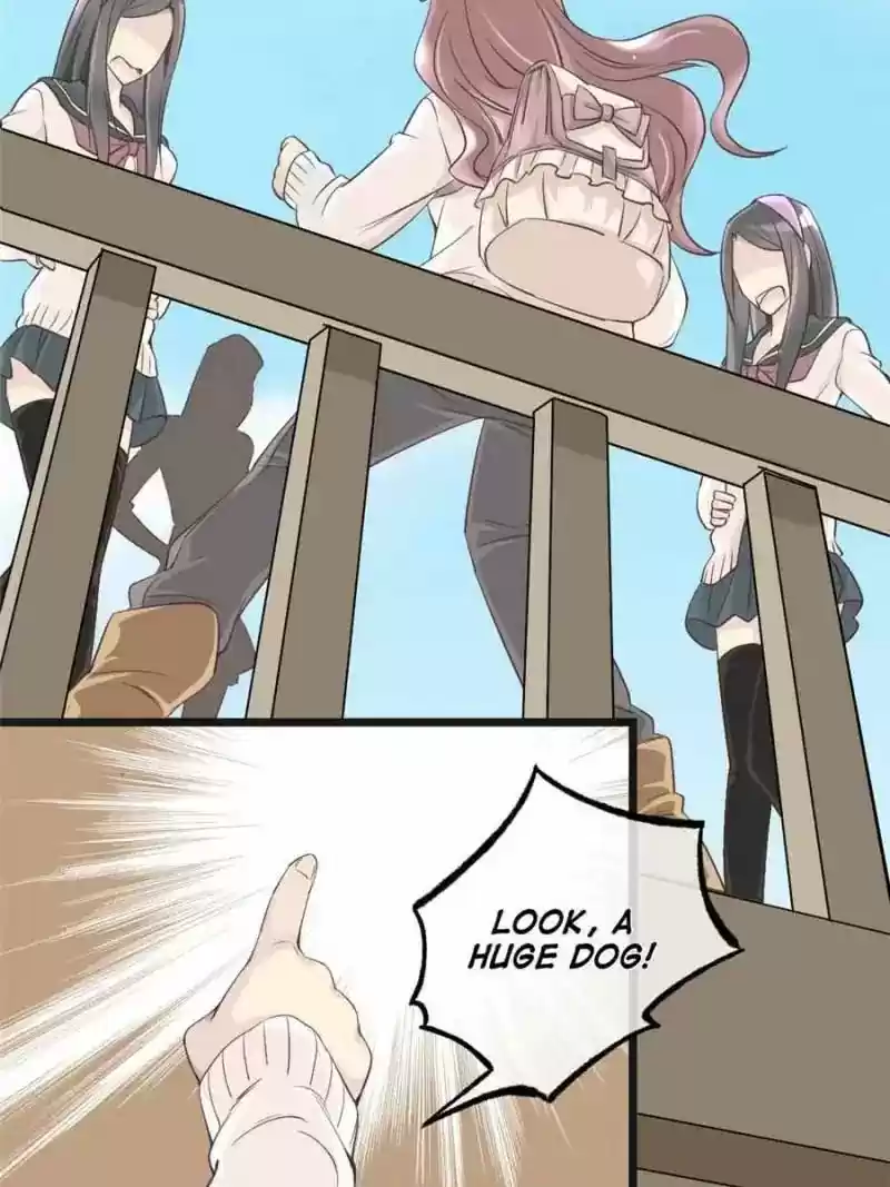 Back to the Tang Dynasty: The Chubby Beauty Chapter 2