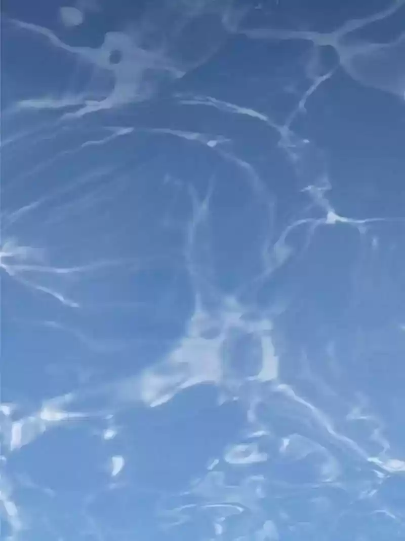 Back to the Tang Dynasty: The Chubby Beauty Chapter 3