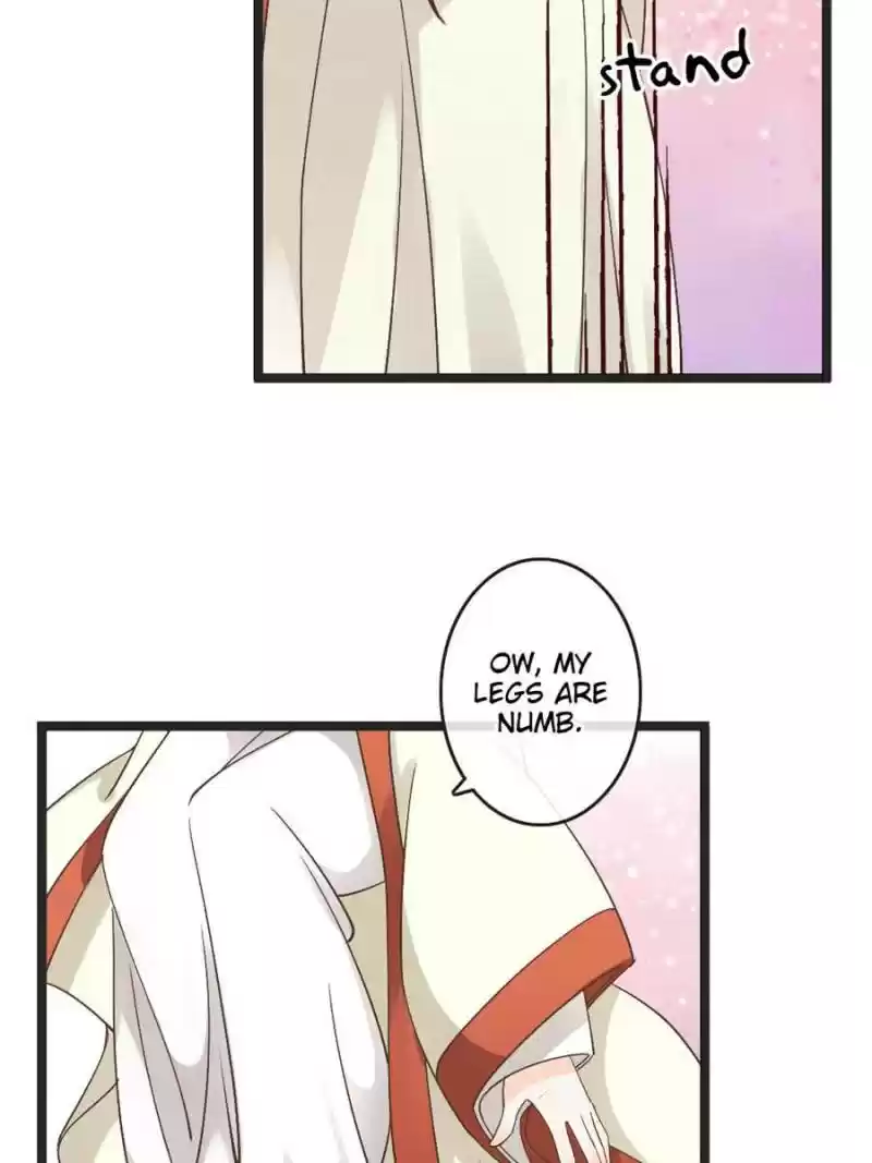 Back To The Tang Dynasty: The Chubby Beauty Chapter 66